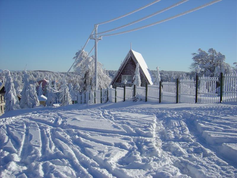 Winter 2008 