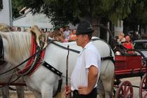 Weidenthaler Feuerwehrball 2013